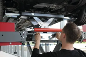 Aks Krikoları görseli