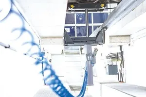  Çukur Krikosu
 görseli