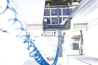  Çukur Krikosu
 görseli